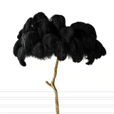 Palmera Luxury Feather Floor/Table Lamp