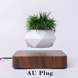 Hot Sale Magnetic Levitating Air Bonsai Pot Rotation Planters Desk Decor