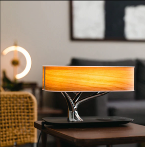 Light Of Life Lamp