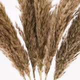 Dried Pampas Décor