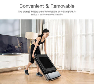 SMART ELECTRIC FOLDABLE