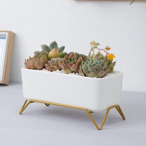 Succulent Plant Pot