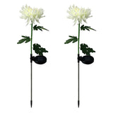 Solar Chrysanthemum Light
