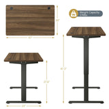 Electric Adjustable Stand-up Desk w/ Controller